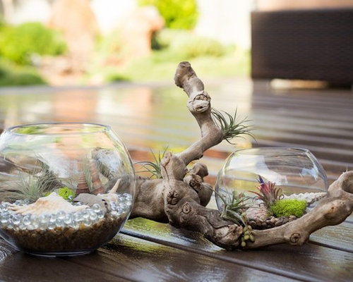 Custom Home + Garden Decor - San Diego