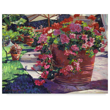 "Geranium Color Pot" by David Lloyd Glover, Canvas Art, 19"x14"
