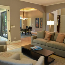 Living Room Ideas
