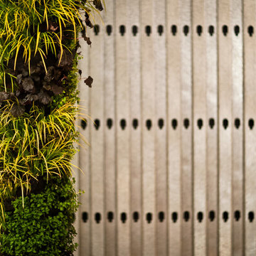 San Francisco Flower and Garden Show Garden | PLANit Green