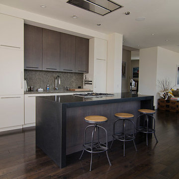 Penthouse Conversion