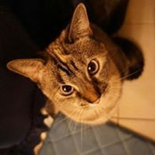 Shari-Ann Webley's photo