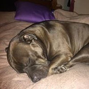 Sandra Brown-Snowball's photo