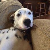 Shannon DeMalignon's photo