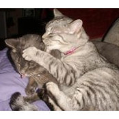 Lisa Brown's photo