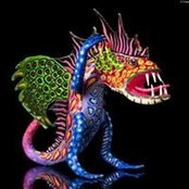 Marcela Talamas's photo