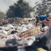 Photo de Michael Perez
