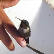 Erin Gregory's photo