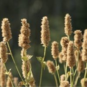 Denise Dobie's photo