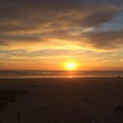 CHERYL SCHEFFEL's photo
