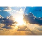 Antonia Lago-Torres's photo