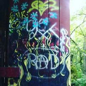 Brea Thadisons foto