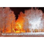 Dianne Van Winkle's photo