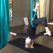 Kate DeBandi's photo