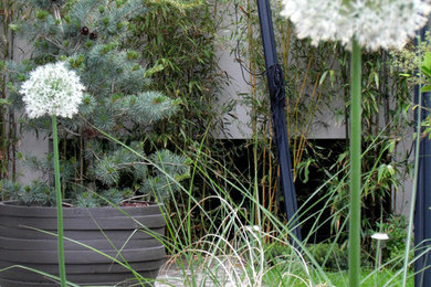 Cette image montre un jardin design.