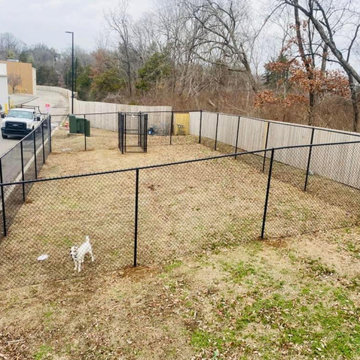 Chain Link Fence