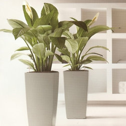 Modern Planter - Products