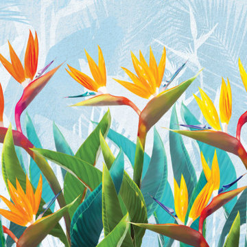 Tropical flowers strelitzia wall mural