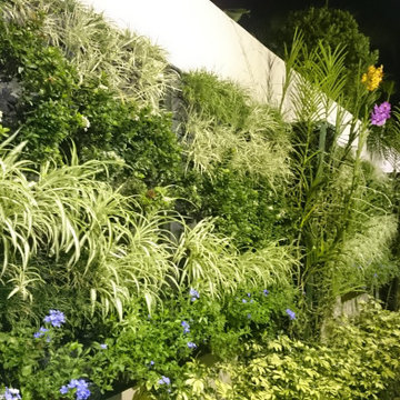 Jardín vertical LC