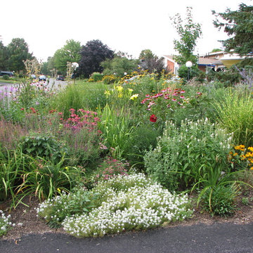 front yard