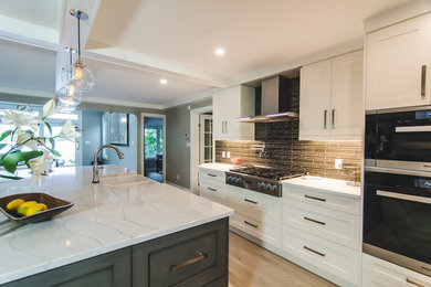 Inspiration for a transitional kitchen remodel in Other