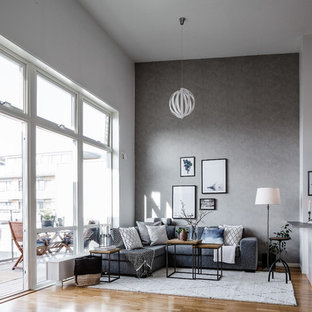 Living Room Design Ideas & Remodeling Pictures | Houzz