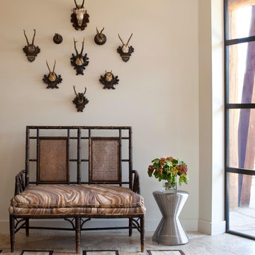 Aspen Mountain Modern