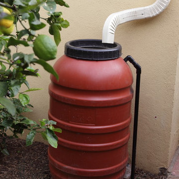 Rain Barrel