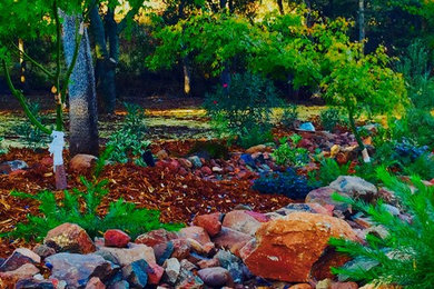Design ideas for a large eclectic landscaping in Sacramento.