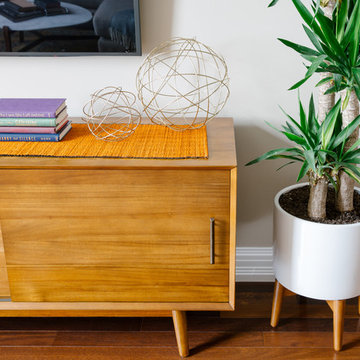 Fort Greene Mid-Century Modern