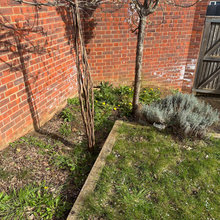 Swannell Way Garden 2024