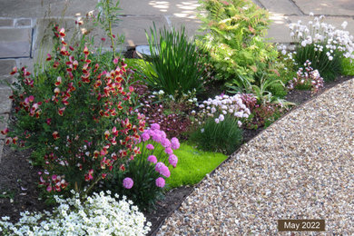 Photo of a nautical courtyard partial sun garden in Essex with gravel.