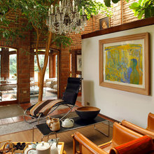 indoor trees