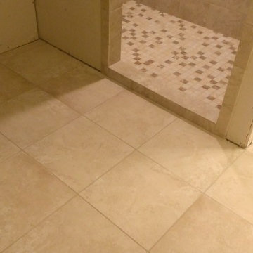 MASTER BATHROOM - Roman Tub to Shower Conversion