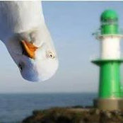 D'Amian Popov's photo