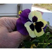Mary Toole's photo