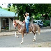 Cuadras Chico Vargas's photo