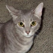 Catherine Eaker's photo