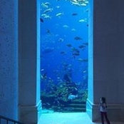 Torrey Chastine's photo