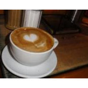 Tom Gregorini's photo