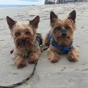 Cherilyn Martinez's photo
