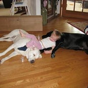 Breanne Watt's photo
