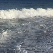 Ann Hudock's photo