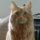 Cassondra Mohs's photo