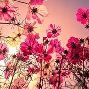 Esin Sarp's photo