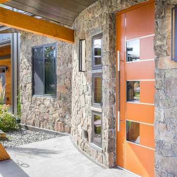 Modern Decorative Entry Door