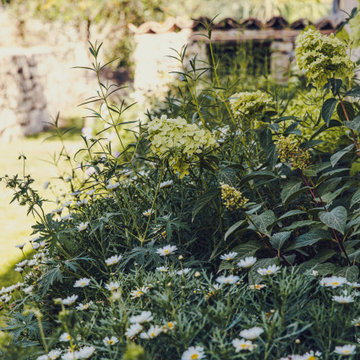 Jardin méditerranéen à Châteauneuf-Grasse