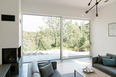 Skandinavisches Wohnzimmer in Sonstige