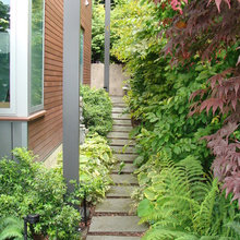 Side Yard