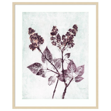 Lilac 1 Aqua Plum by Pernille Folcarelli Framed Wall Art 33 x 41